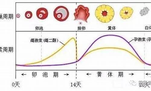 体育中考时来月经怎么办_体育中考来月经怎么办吃什么药