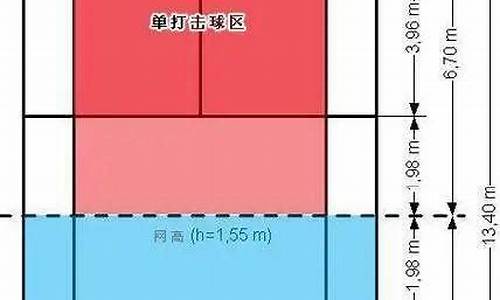 羽毛球单打的规则基本知识_羽毛球单打规则总结