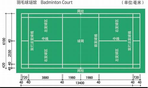 羽毛球双打场地标准尺寸_羽毛球双打的场地长度