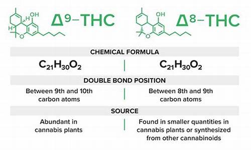 英超托特纳姆热刺vs曼城回放_英超托特纳姆热刺vs曼城回放