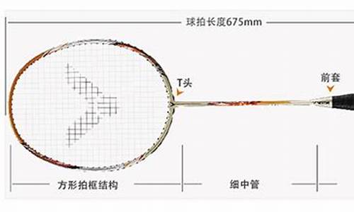 yy羽毛球拍对比_yy羽毛球拍哪个好