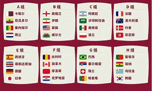 2024足球世界杯在哪个国家_2024足球世界杯在哪个国家举办的